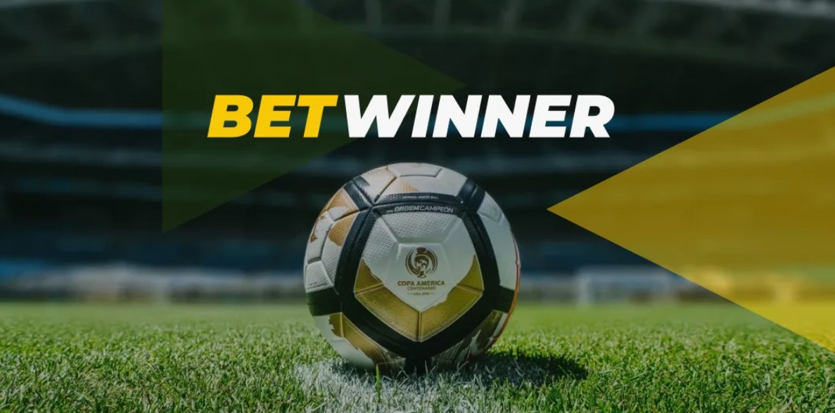 Everything You Need to Know About Betwinner 5